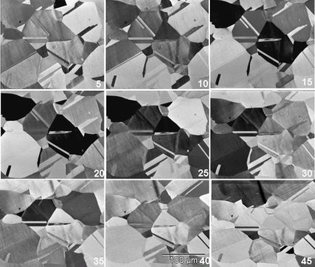 Orientation contrast in the ion scvanning microscope